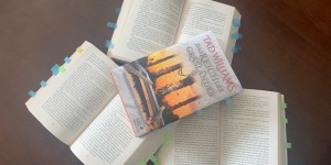 Beitragsbild des Blogbeitrags „Das Reich der Grasländer 1“ von Tad Williams