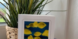 Beitragsbild des Blogbeitrags „Wurfschatten“ von Simone Lappert