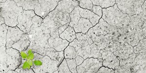 Beitragsbild des Blogbeitrags Leidest du an Eco Anxiety? 