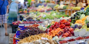 Beitragsbild des Blogbeitrags Meine Top 5 Bauernmärkte in Wien + Eco Survivial Gear