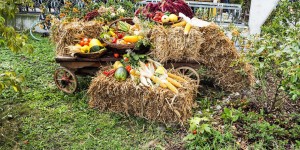 Beitragsbild des Blogbeitrags Microadventure Mostviertel – Anzeige