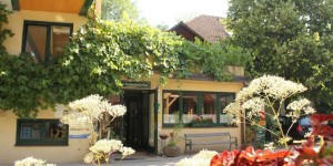Beitragsbild des Blogbeitrags Eco Stay im Pielachtal