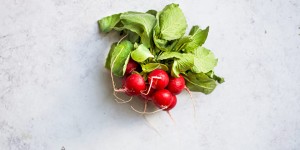 Beitragsbild des Blogbeitrags Radieschen Leaf to Root Rezept gegen Lebensmittelverschwendung – Anzeige 