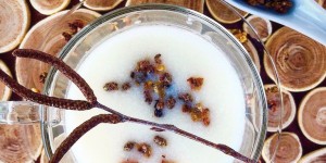 Beitragsbild des Blogbeitrags Rahmsuppe mit Knusperkätzchen