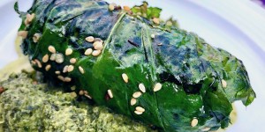 Beitragsbild des Blogbeitrags Frühlingsrollen von der Kohldistel