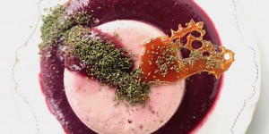 Beitragsbild des Blogbeitrags Schlehen-Pannacotta auf Schlehensauce
