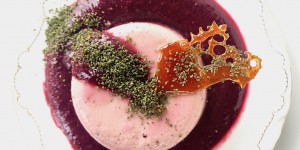 Beitragsbild des Blogbeitrags Schlehen-Pannacotta auf Schlehensauce 