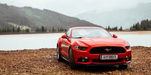 Beitragsbild des Blogbeitrags Ein Erz-Mustang
