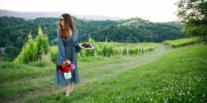 Beitragsbild des Blogbeitrags ROMANTISCHES KUCHENPICKNICK ÜBER DEN SÜDSTEIRISCHEN WEINBERGEN! Marillentarte mit Pinienkerne & gesunde Mandel-Heidelbeer-Brownies 