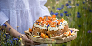 Beitragsbild des Blogbeitrags HELLO SWEET SUMMER SUNSHINE! Fluffige-Biskuitrollen-Törtchen mit Marillen und Zitronencreme