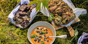 Beitragsbild des Blogbeitrags LOSLASSEN, ANNEHMEN & AUFBLÜHEN! Herbstliches Waldyoga mit Kräuter-Babka, Süßkartoffel-Apfel-Suppe & rohveganen Brownies