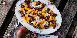 Beitragsbild des Blogbeitrags CROWDFARMING FÜR EINE UMWELTFREUNDLICHE ZUKUNFT! Zerbröselter Cookie-Salat mit BIO-Mangos 