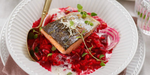 Beitragsbild des Blogbeitrags FESTLICHES AROMENSPIEL AM TELLER! Rote Rüben Risotto mit Kren-Schaum und gebratener Lachsforelle