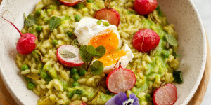 Beitragsbild des Blogbeitrags GRÜNE GARTENLUST UND TELLERFREUDE! Erbsen-Minze-Risotto mit glasierten Radieschen und pochiertem Ei