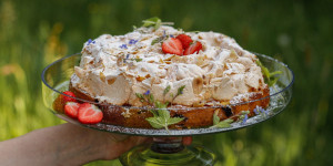 Beitragsbild des Blogbeitrags EIN SAFTIGER KUCHENKLASSIKER, DEN EINFACH ALLE LIEBEN! Rhabarberkuchen mit Baiserhaube 