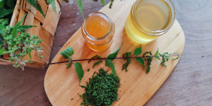 Beitragsbild des Blogbeitrags Rezept Brennnesselsamen-Oxymel