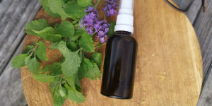 Beitragsbild des Blogbeitrags Rezept Mückenspray für Kinder ohne ätherische Öle