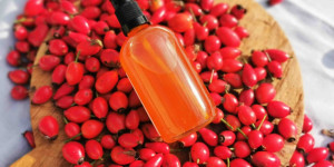Beitragsbild des Blogbeitrags hautpflege im Herbst mit Wildobst / Wildfrüchten