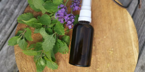 Beitragsbild des Blogbeitrags Rezept Mückenspray für Kinder ohne ätherische Öle