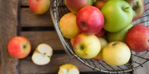 Beitragsbild des Blogbeitrags Abgeerntet, runter gefallen, liegen geblieben, neu angefangen