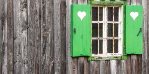 Beitragsbild des Blogbeitrags Almrausch mit Kaiserblick