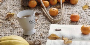 Beitragsbild des Blogbeitrags Diese Herbstdeko hat jeder zu Hause