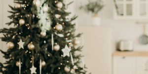 Beitragsbild des Blogbeitrags Echt oder Plastik? – Der Weihnachtsbaum-Battle