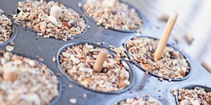 Beitragsbild des Blogbeitrags Vogelfutter selber machen