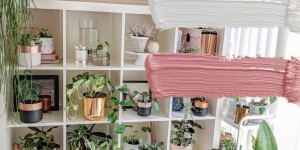 Beitragsbild des Blogbeitrags 4 unwiderstehliche Farbkonzepte für Urban Jungle
