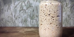 Beitragsbild des Blogbeitrags Roggensauerteig ansetzen: eine einfache Anleitung 