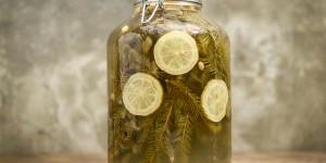 Beitragsbild des Blogbeitrags Alpen-Sprite oder Fichtennadeltee fermentiert mit Wasserkefir
