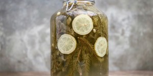 Beitragsbild des Blogbeitrags „Alpen-Sprite“ oder Wasserkefir mit Fichtennadeln