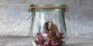 Beitragsbild des Blogbeitrags Gesalzene Kirschblüten oder wie man den Frühling im Glas einfängt 