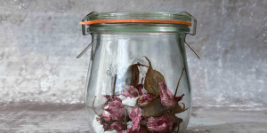 Beitragsbild des Blogbeitrags Gesalzene Kirschblüten oder wie man den Frühling im Glas einfängt
