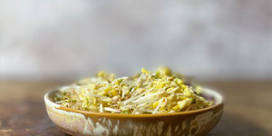 Beitragsbild des Blogbeitrags Bohnensprossen selber ziehen – das beste Superfood wächst in der eigenen Küche