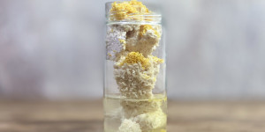 Beitragsbild des Blogbeitrags Zesty Fusion: Shio-Koji-Lemon als Geheimzutat für ungeahnte Gaumenfreuden