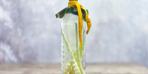 Beitragsbild des Blogbeitrags Kulinarische Premiere: Zitronengrasöl als geheime Zutat im Testlauf 