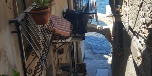 Beitragsbild des Blogbeitrags Scilla