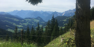 Beitragsbild des Blogbeitrags TEM – in a nutshell
