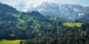 Beitragsbild des Blogbeitrags Probier’s mal mit Gemütlichkeit