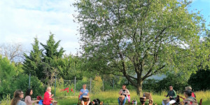 Beitragsbild des Blogbeitrags Endlich wieder Sommer!