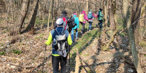 Beitragsbild des Blogbeitrags Im Sauseschritt 20 km über den Leithaberg