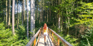 Beitragsbild des Blogbeitrags 12 von 12 im Juli