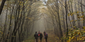 Beitragsbild des Blogbeitrags Wanderung am Leithaberg 30.10.2022