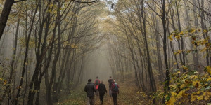 Beitragsbild des Blogbeitrags Wanderung am Leithaberg 30.10.2022 