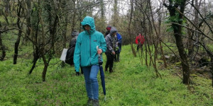 Beitragsbild des Blogbeitrags Kräuterwanderung 14.4.2023