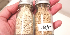 Beitragsbild des Blogbeitrags Auf den Spuren des Hafer-Rätsels – oder: Was du schon immer über die richtige Zubereitung von Haferbrei / Porridge wissen wolltest.