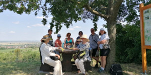 Beitragsbild des Blogbeitrags Kräuterwanderung am 30. Juni 2023
