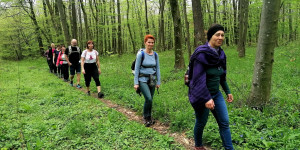 Beitragsbild des Blogbeitrags Wanderung am Leithaberg – 5. April 2024