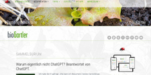 Beitragsbild des Blogbeitrags Warum eigentlich nicht ChatGPT? Beantwortet von ChatGPT. 